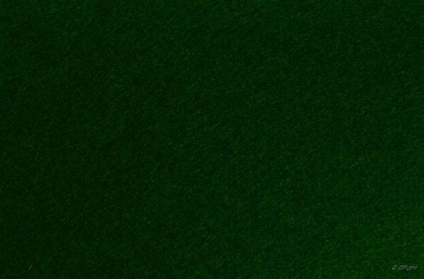 FL062 Wollfilz, dunkel Blattgrün
