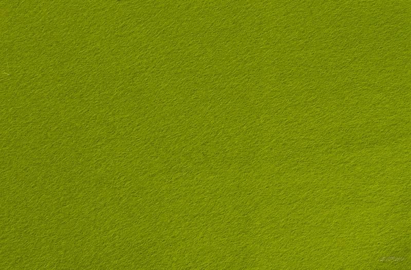 FL059 Wollfilz 1mm, 20x30cm frühlingsgrün