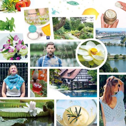 Das Lavendelo, Ausgabe 26