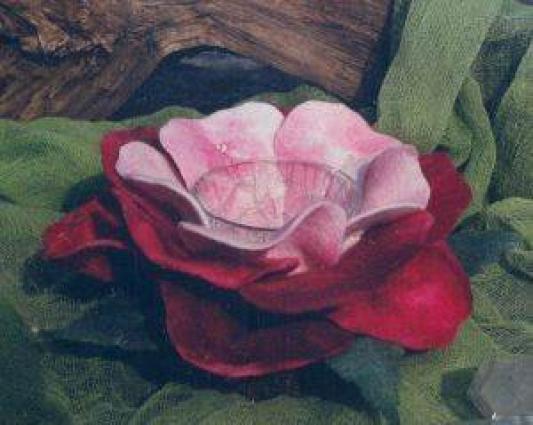 Rosarote Rose