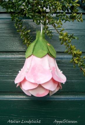 Apfelblüte