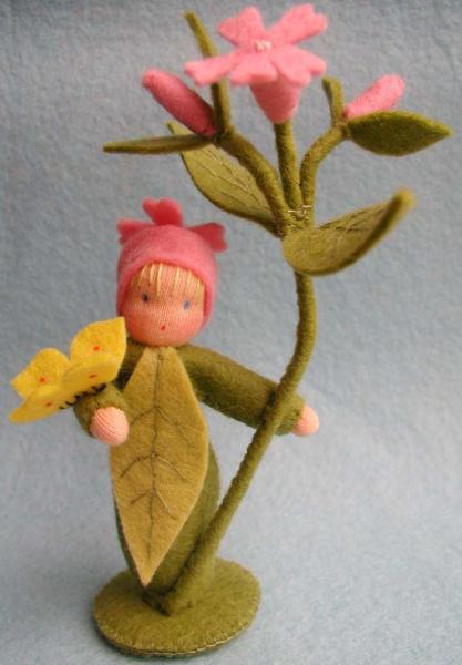 Blumenkind Lichtnelke